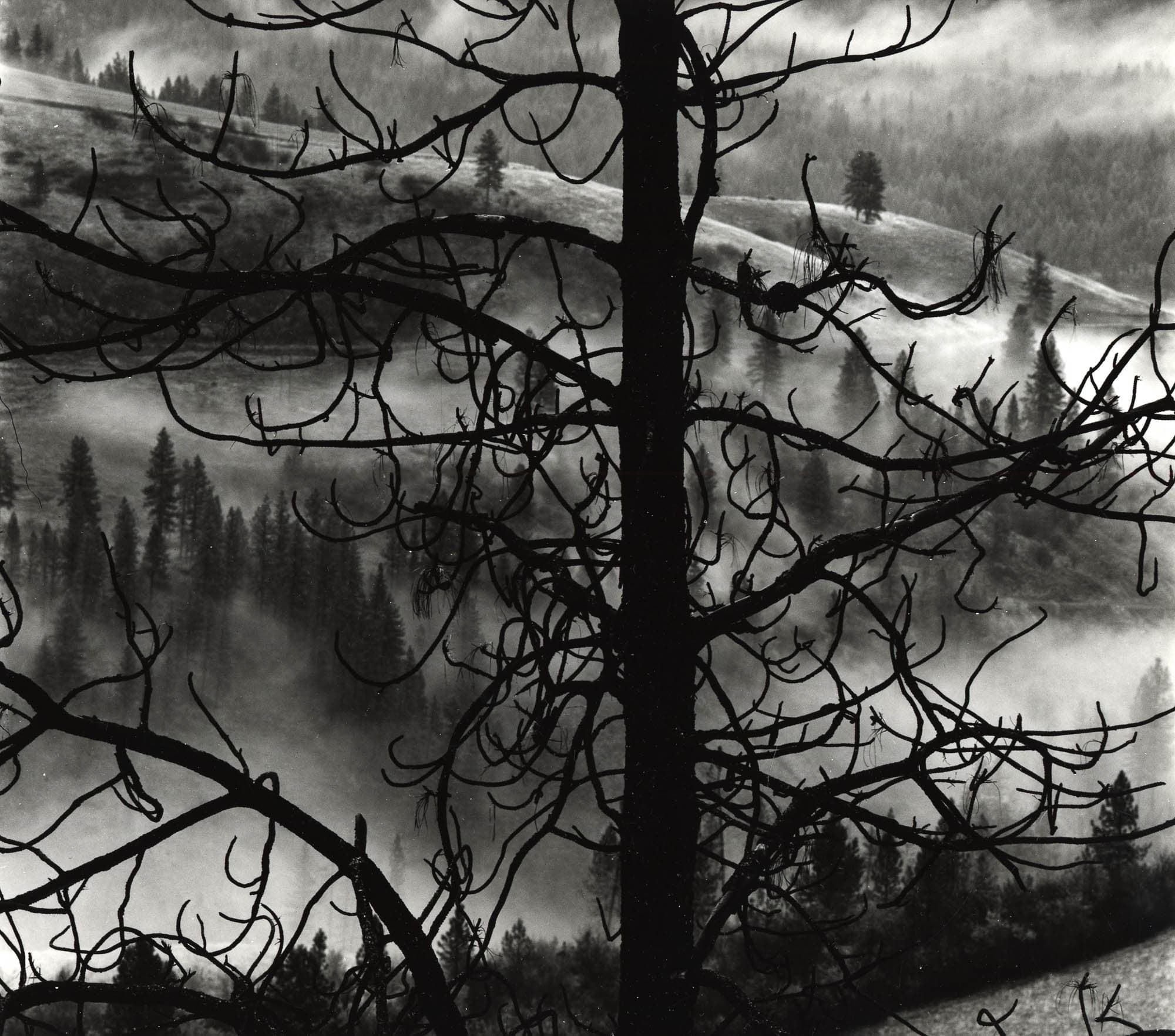 Brett Weston in Oregon Jordan Schnitzer Museum of Art